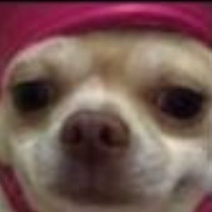 Meet your Posher, Malik